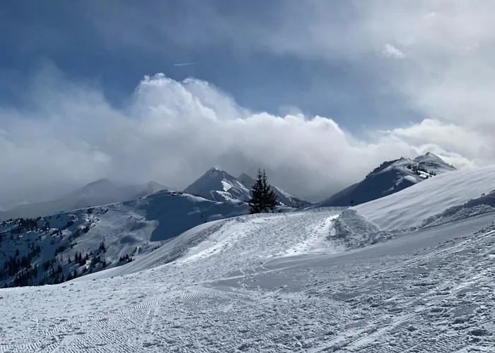 Valentin Apartamento